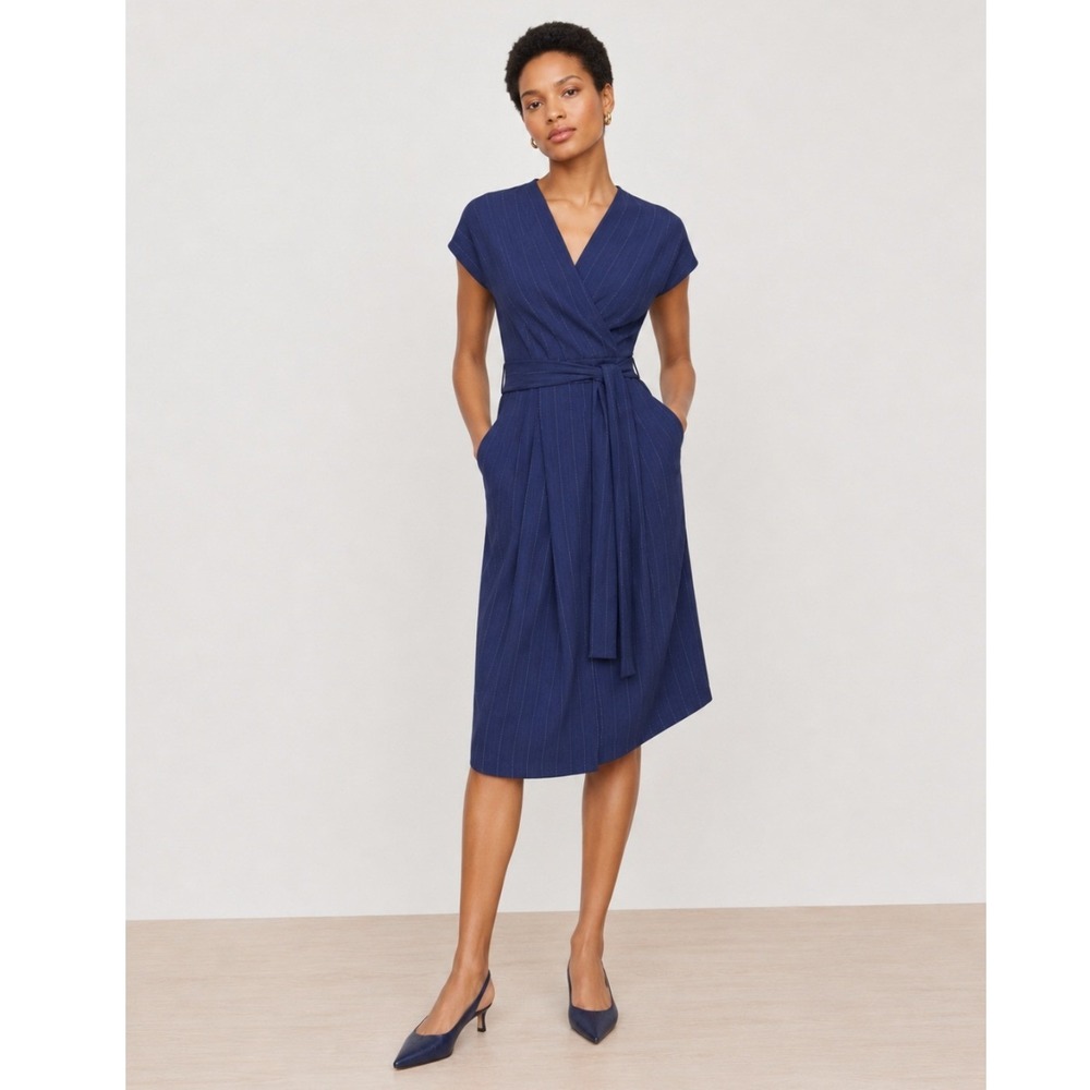 MM.LaFleur THE NOEL FADED STRIPE Dress Women 10 Blue Professional Office